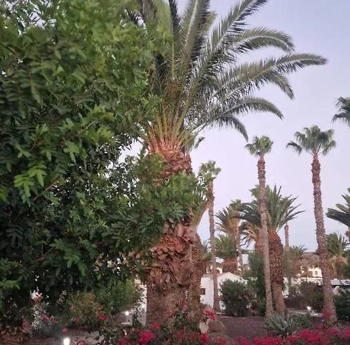 בית נופש Brisas 71 פלאיה בלנקה